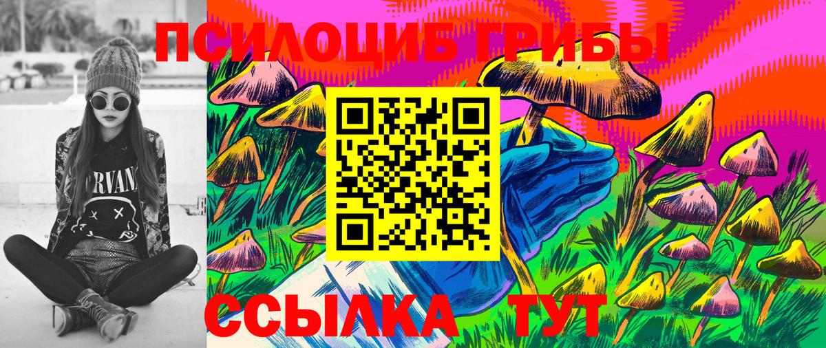 ГАШ Троицк